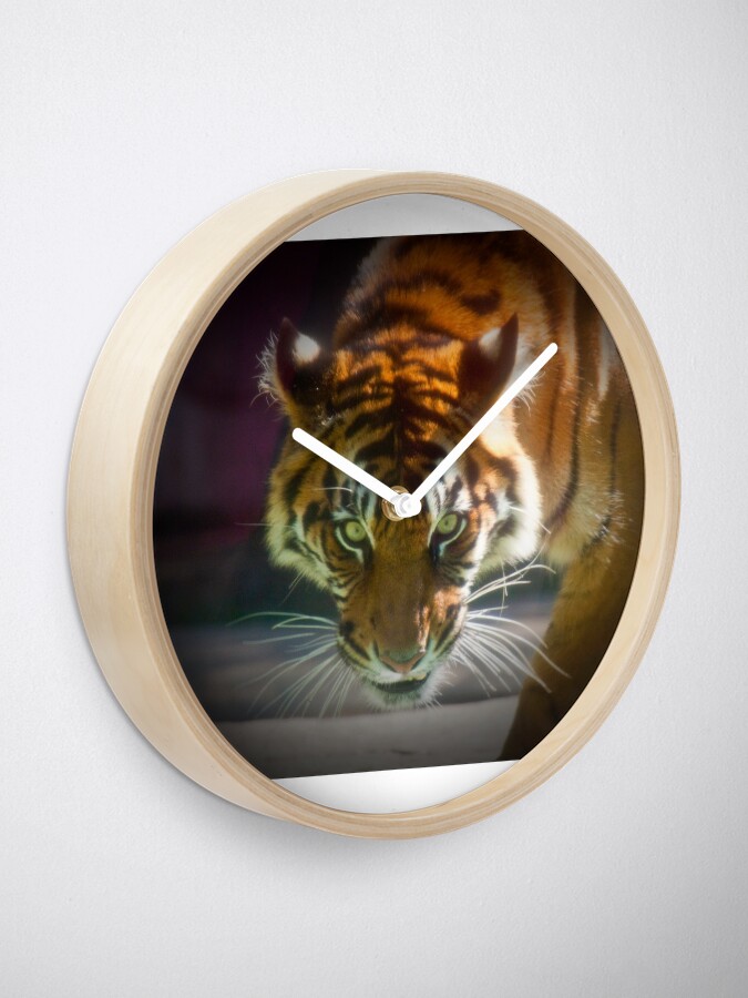 Alternate view of The Stare Clock