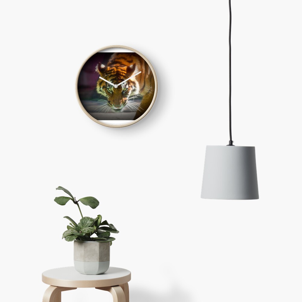 The Stare Clock