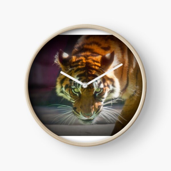 The Stare Clock