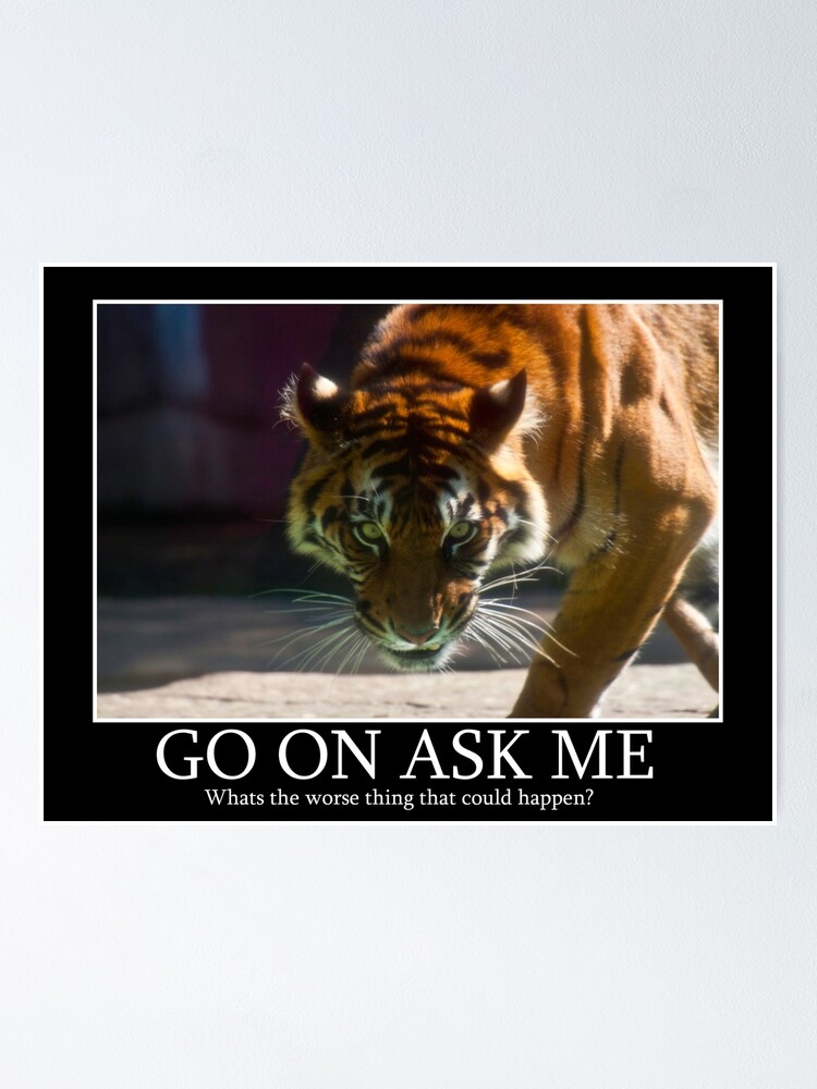 Alternate view of Tiger Terror Poster