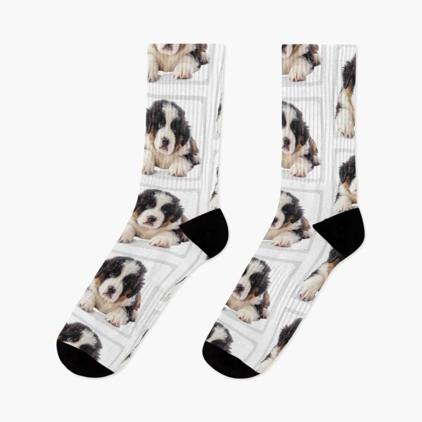 Item preview, Saint Bernard Dog Sticker | Puppy Portrait | Dog Mom Gift 005 designed and sold by TheTodayTribe.