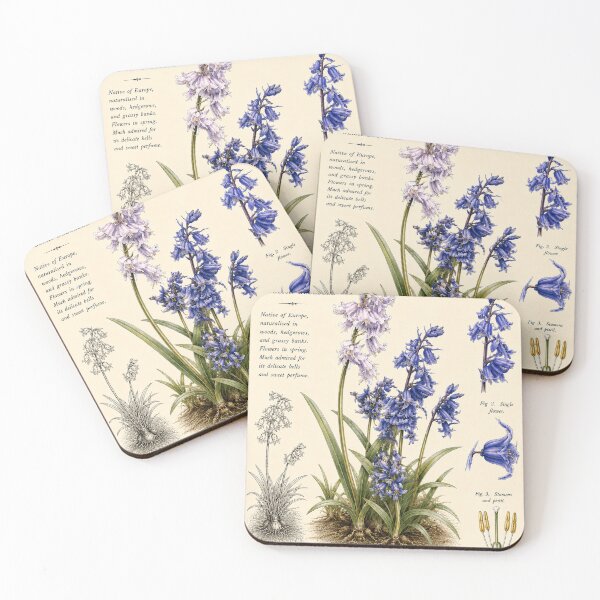 Item preview, Victorian English Bluebell Botanical Illustration | Antique Floral Natural History Print designed and sold by BethnalShop.