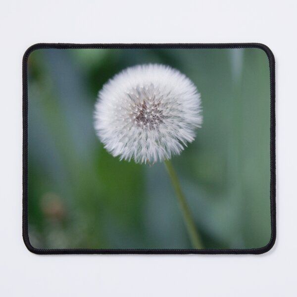 Item preview, White fluffy dandelion on nature background designed and sold by olena2552.