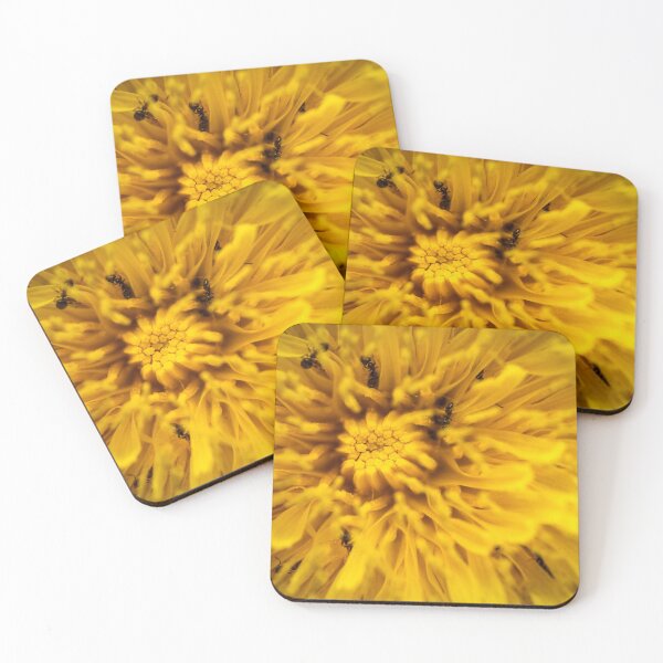 Item preview, The Dandelion Universe — Ants in a Golden World designed and sold by Rabee Khalil Photography.