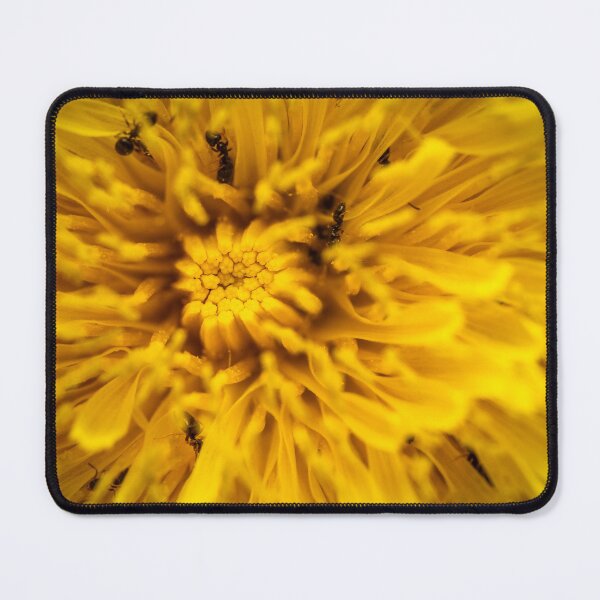 Item preview, The Dandelion Universe — Ants in a Golden World designed and sold by Rabee Khalil Photography.