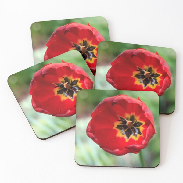 Item preview, Red tulip in spring garden designed and sold by olena2552.