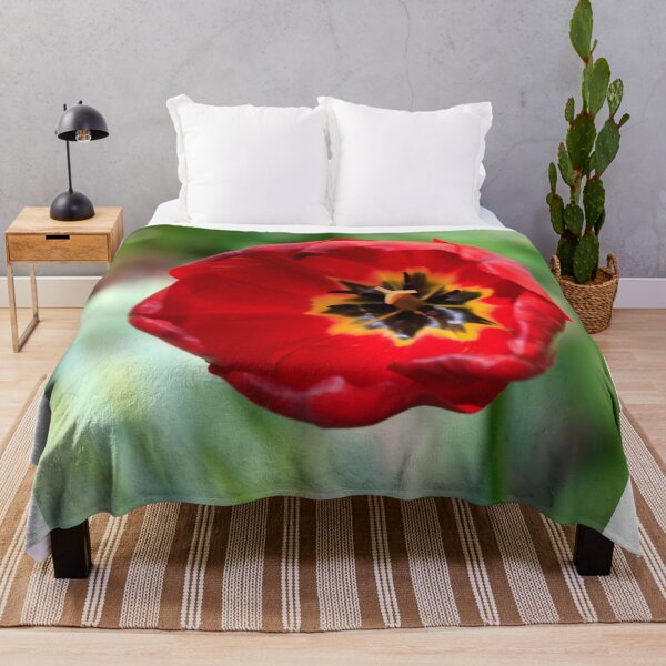 Item preview, Red tulip in spring garden designed and sold by olena2552.