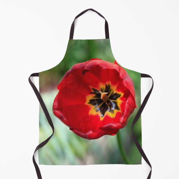 Item preview, Red tulip in spring garden designed and sold by olena2552.