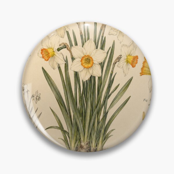 Item preview, Victorian Daffodil Botanical Illustration | Antique Narcissus Floral Print designed and sold by BethnalShop.