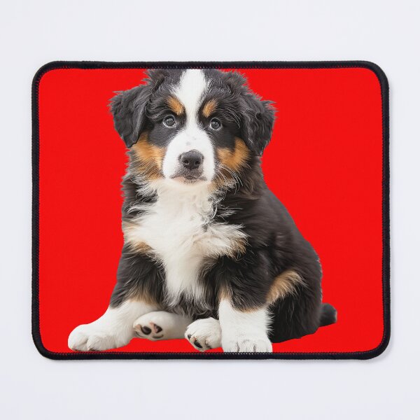 Item preview, Realistic Bernese Mountain Dog Sticker | Gentle Giant Working Breed Portrait | Dog Lover Gift designed and sold by TheTodayTribe.