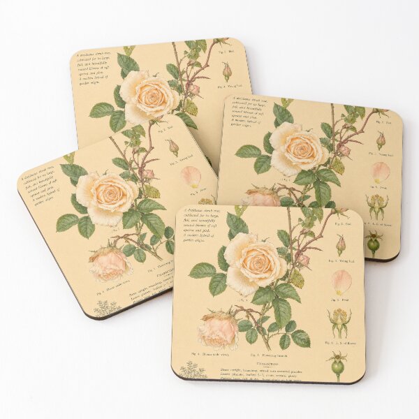 Item preview, Victorian Rose Botanical Illustration | Antique English Garden Floral Print designed and sold by BethnalShop.