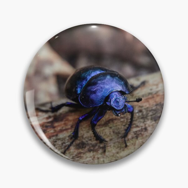 Item preview, Spring Dung Beetle designed and sold by Eidetic Photos.