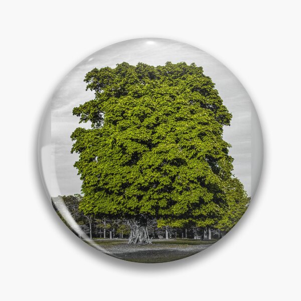 Item preview, LONDON OAK TREE | Artistic Nature Photography | Moody Urban Landscape Art designed and sold by BlueberrySwan.