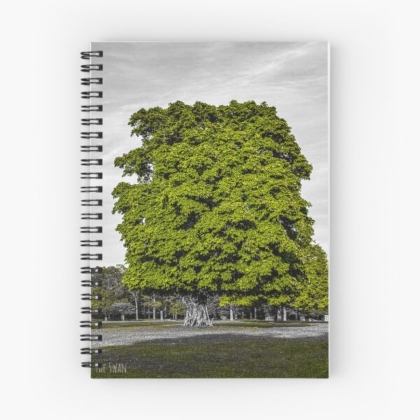 Item preview, LONDON OAK TREE | Artistic Nature Photography | Moody Urban Landscape Art designed and sold by BlueberrySwan.