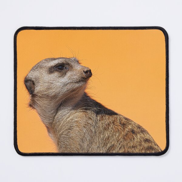 Item preview, Meerkat Portrait Close-Up on Orange Background designed and sold by RastislavS.