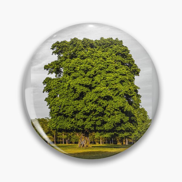 Item preview, GREEN OAK | London Nature Photography | Moody Botanical Art designed and sold by BlueberrySwan.