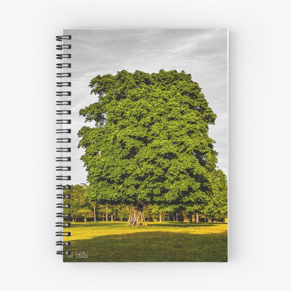 Item preview, GREEN OAK | London Nature Photography | Moody Botanical Art designed and sold by Baroness Swan.