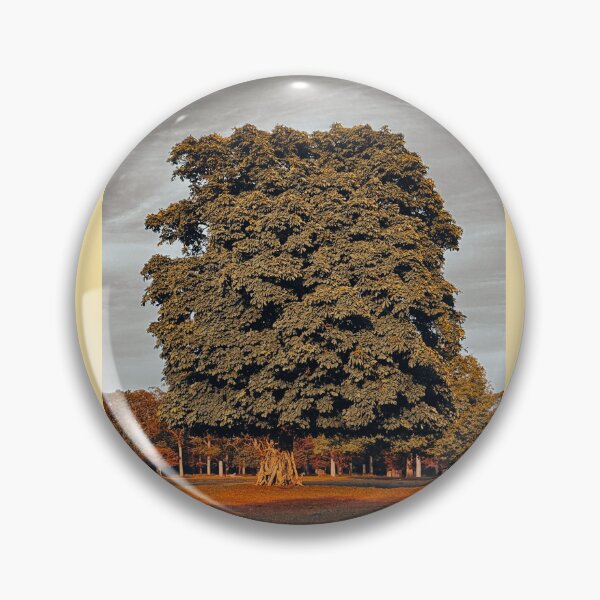 Item preview, MOODY LONDON TREE | Artistic Landscape Photography | Grey Orange Nature Aesthetic designed and sold by BlueberrySwan.