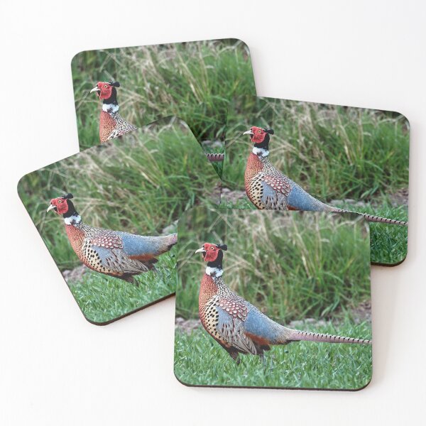 Item preview, Pheasant designed and sold by Tom McPherson Photography.