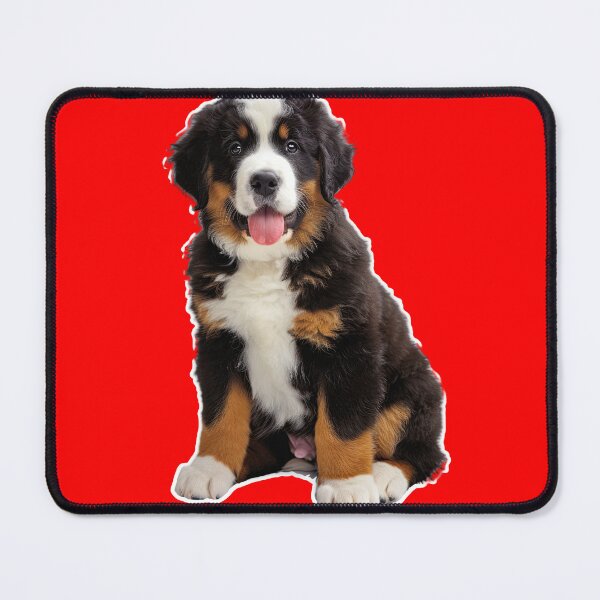Item preview, Realistic Bernese Mountain Dog Sticker | Gentle Giant Working Breed Portrait | Dog Lover Gift 002 designed and sold by TheTodayTribe.