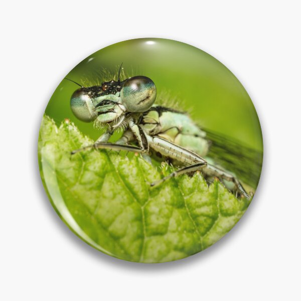 Item preview, Face to Face — Damselfly Macro Portrait on Green Leaf designed and sold by Rabee Khalil Photography.