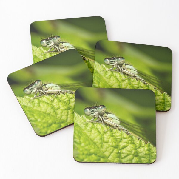 Item preview, Face to Face — Damselfly Macro Portrait on Green Leaf designed and sold by Rabee Khalil Photography.