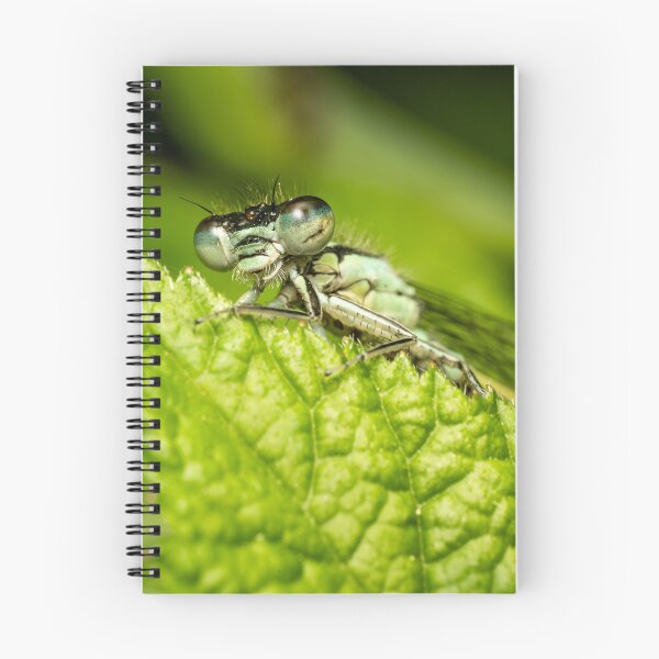 Item preview, Face to Face — Damselfly Macro Portrait on Green Leaf designed and sold by Rabee Khalil Photography.