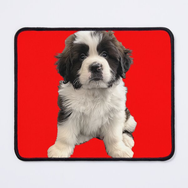 Item preview, Realistic Malshi Puppy Sticker | Cute Maltese Shih Tzu Mix Portrait 002 designed and sold by TheTodayTribe.