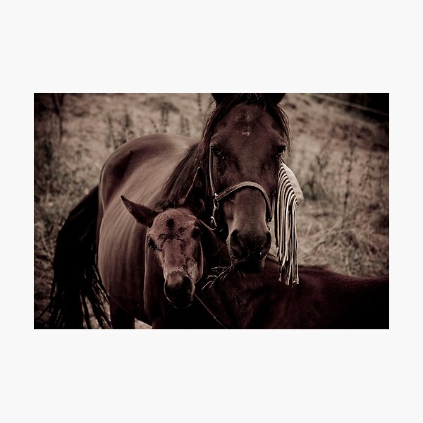 Safe With You Photographic Print
