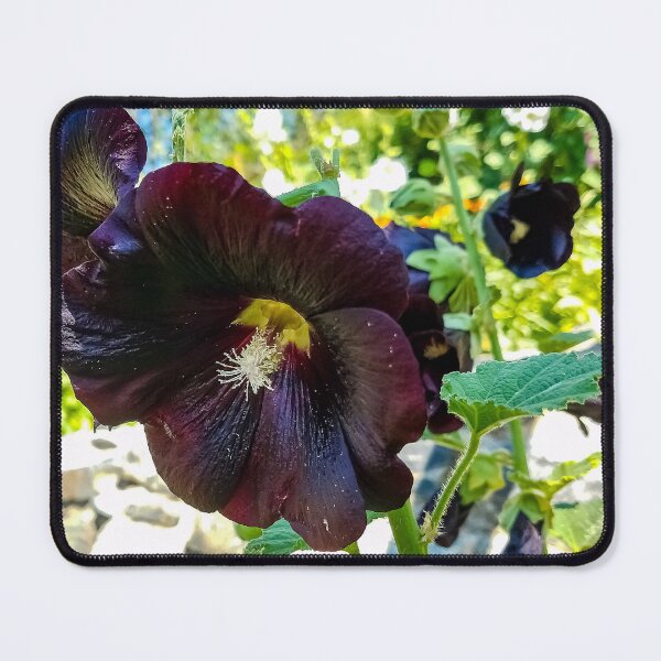 Item preview, Black Hibiscus designed and sold by OddLilFox.