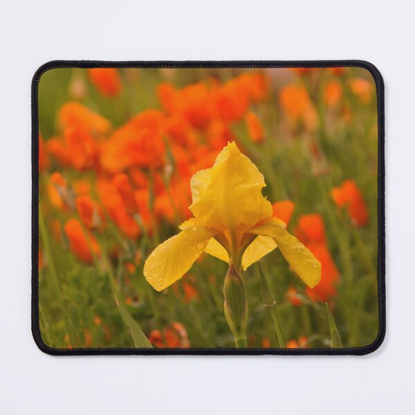 Item preview, A Surprise in my garden designed and sold by RoseMarie747.