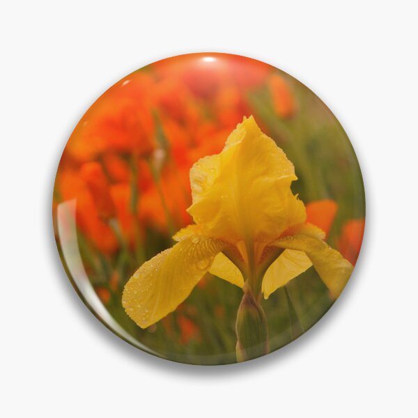 Item preview, A Surprise in my garden designed and sold by RoseMarie747.