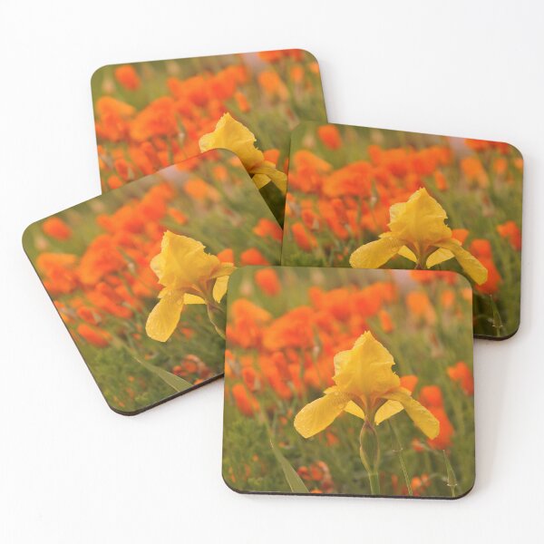 Item preview, A Surprise in my garden designed and sold by RoseMarie747.