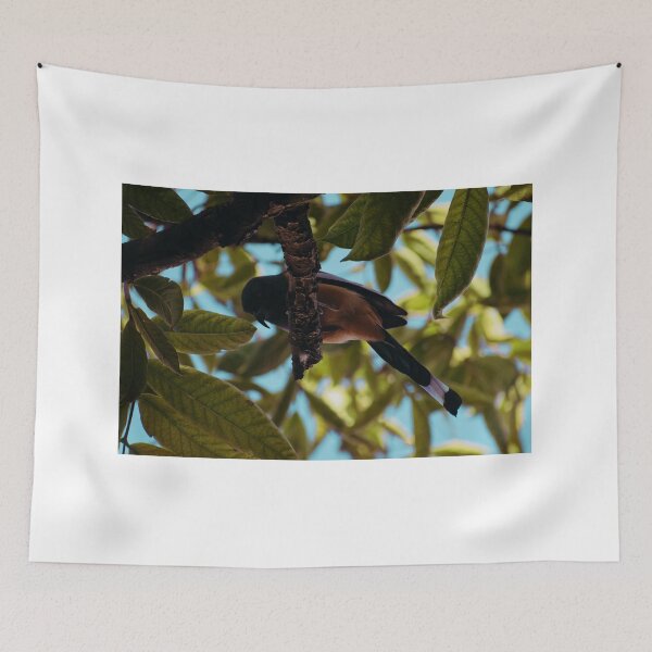 Item preview, Peek-A-Boo designed and sold by Adshree.