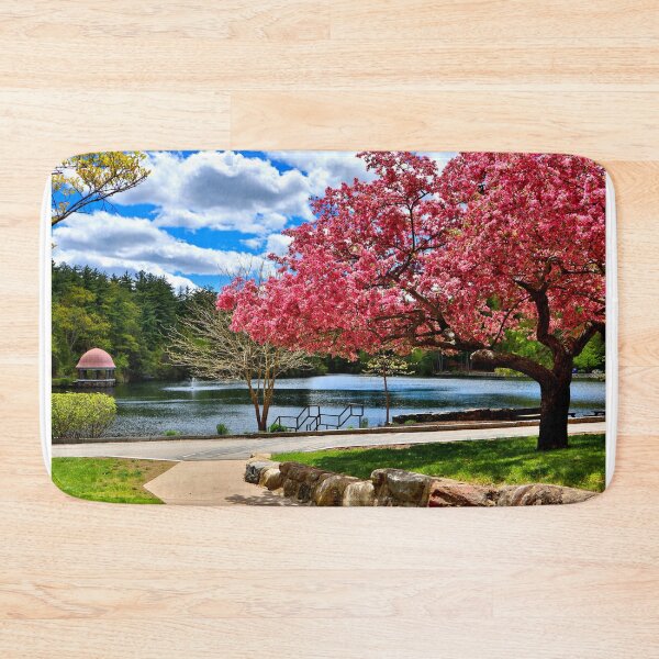 Item preview, Springtime at the Pond designed and sold by BostonArcImage.