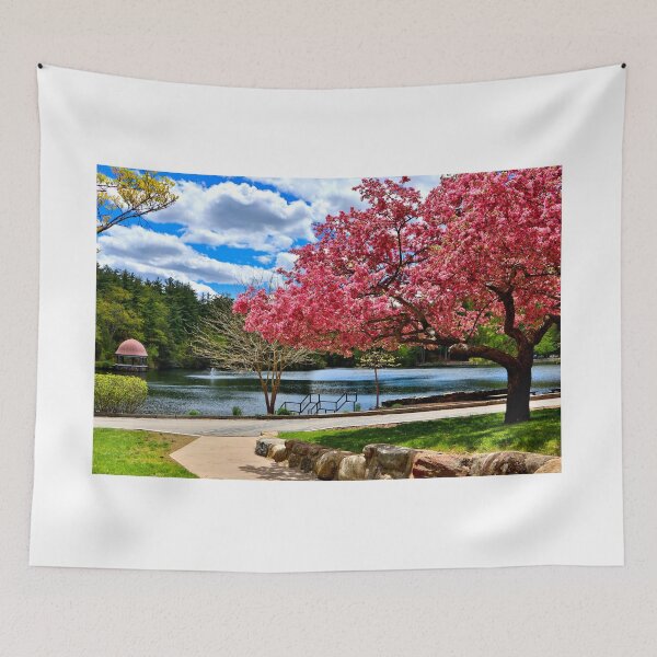 Item preview, Springtime at the Pond designed and sold by BostonArcImage.