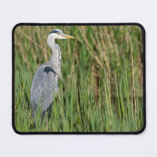 Item preview, Grey Heron designed and sold by UKMatt2000.