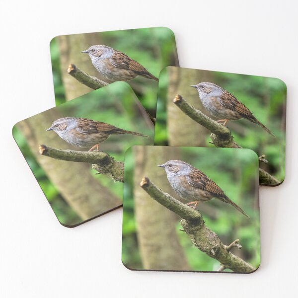 Item preview, Dunnock designed and sold by UKMatt2000.