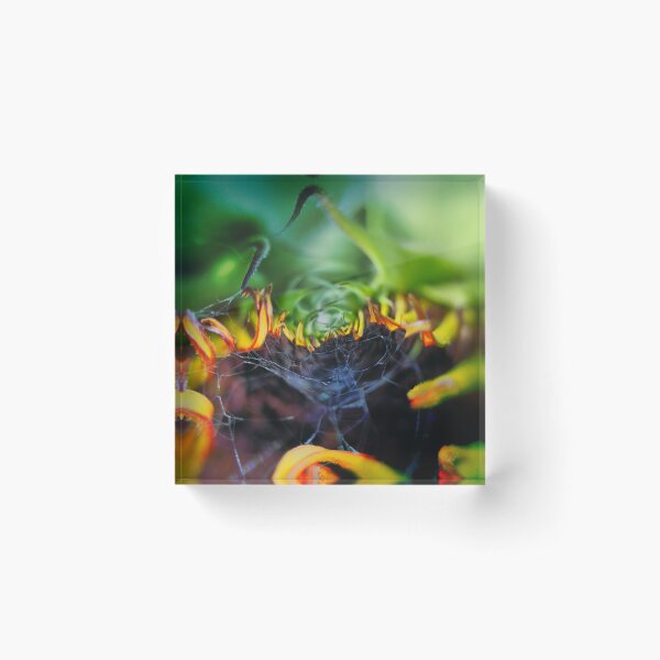 Item preview, Abstract ( 159 )  A Sunflower Death designed and sold by Larry Davis.