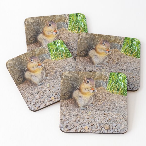 Item preview, Chipmunk v4 designed and sold by OddLilFox.