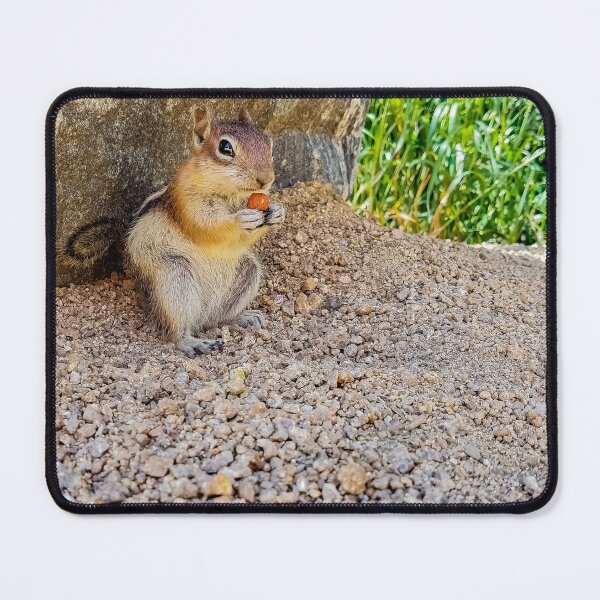 Item preview, Chipmunk v4 designed and sold by OddLilFox.