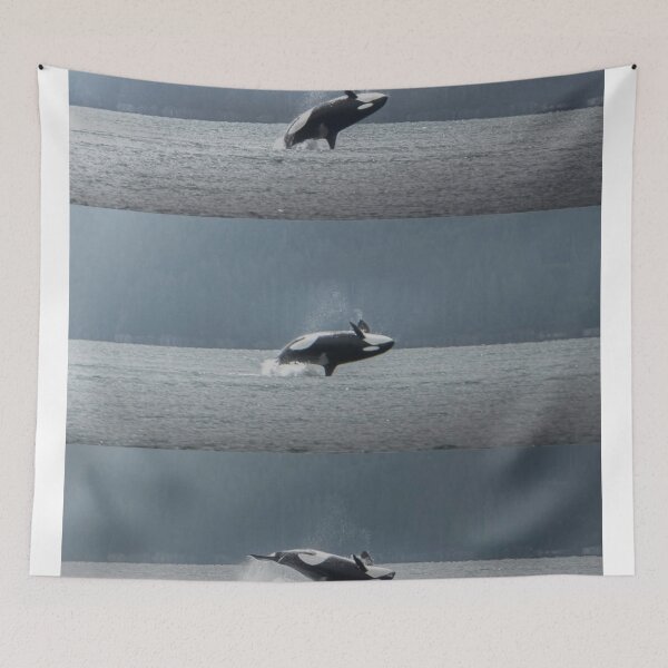 Item preview, Whales Spin Doctors Band aDance Through Waves designed and sold by Sarahsumer.