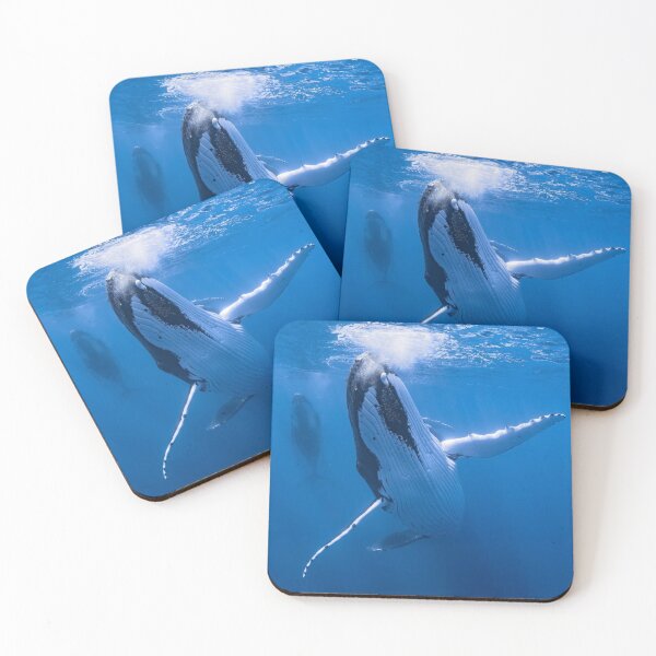 Item preview, Graceful Odd 13 Brewing aWhales Explore Depths designed and sold by Sarahsumer.