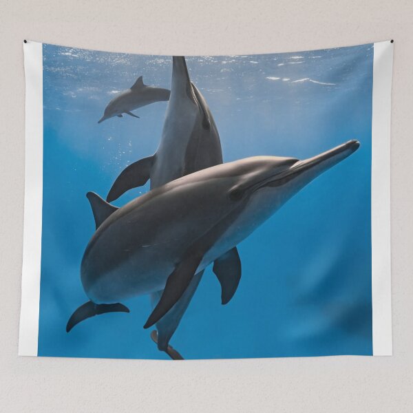 Item preview, Mystic J. Alexander's aWhales Inspire Adventure designed and sold by Sarahsumer.