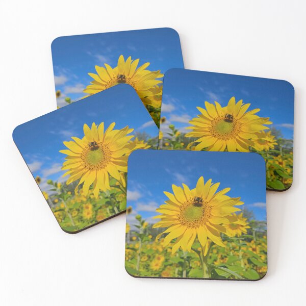 Item preview, Summertime sunflowers designed and sold by Mountain & Moss Creative.
