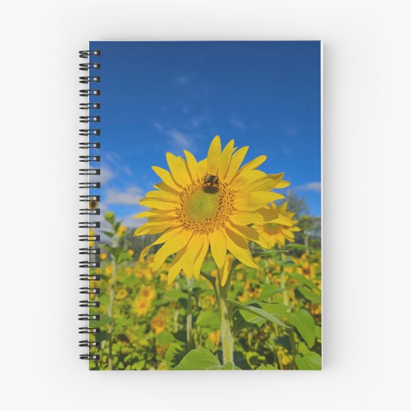 Item preview, Summertime sunflowers designed and sold by Mountain & Moss Creative.
