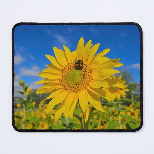Item preview, Summertime sunflowers designed and sold by Mountain & Moss Creative.