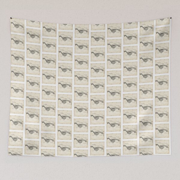 Item preview, Vintage Vertebrate Anatomy Skeletal Diagram designed and sold by DuckOddity.
