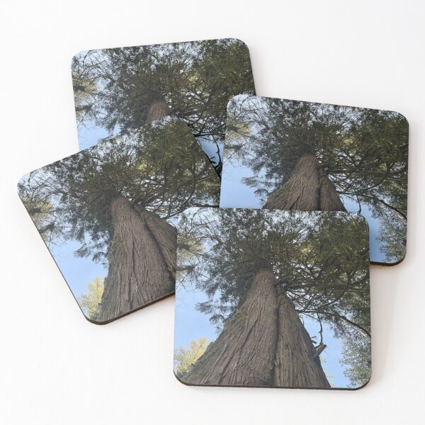 Item preview, Washington 7 designed and sold by brookehthomson.