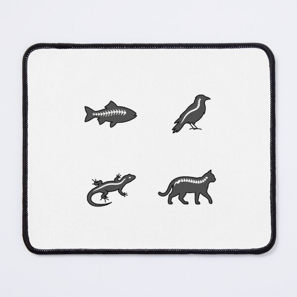 Item preview, Minimalist Vertebrate Evolution Spine Art designed and sold by DuckOddity.